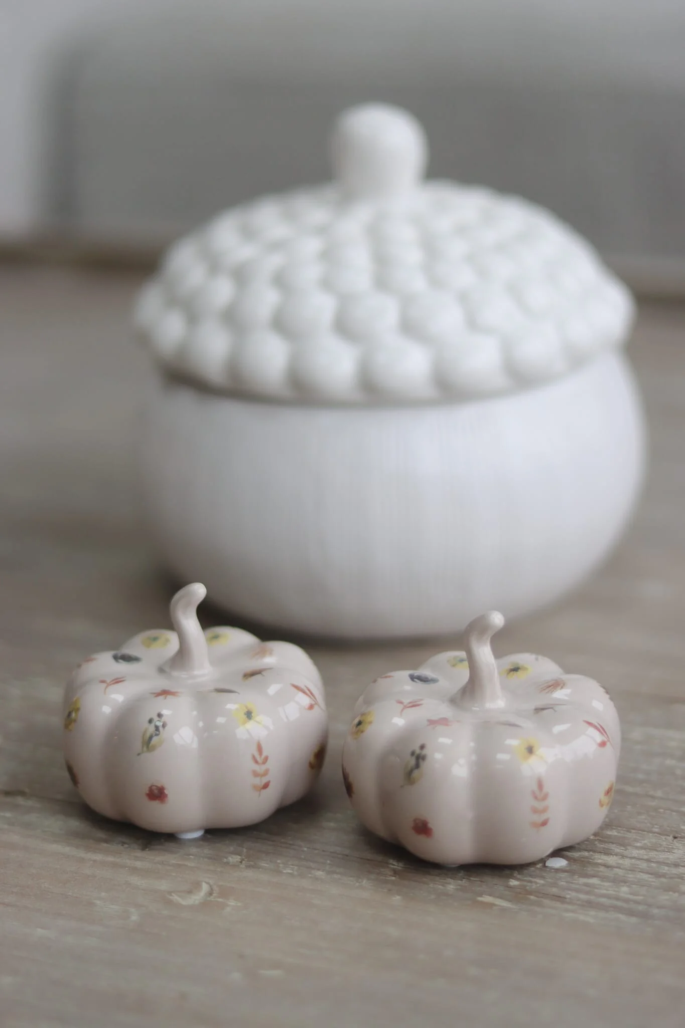 Ceramic Pumpkin Autumn Floral - Small 2PC