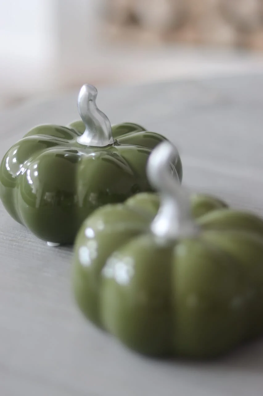Ceramic Pumpkin Autumnal Green - Medium 2PC