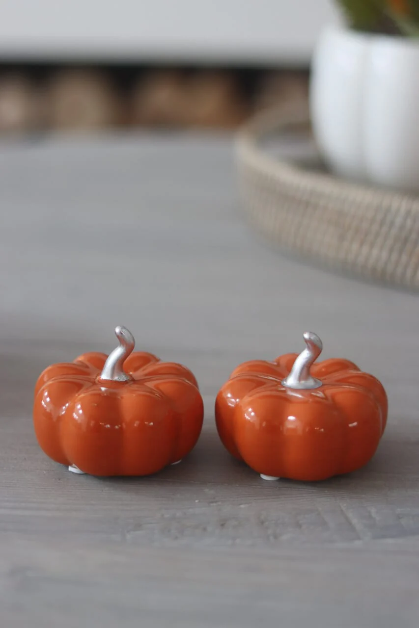 Ceramic Pumpkin Autumnal Orange - Small 2PC