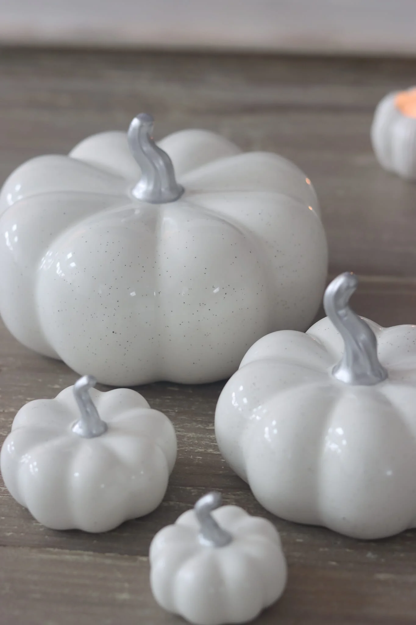 Ceramic Pumpkin Family - Speckled - Image 4