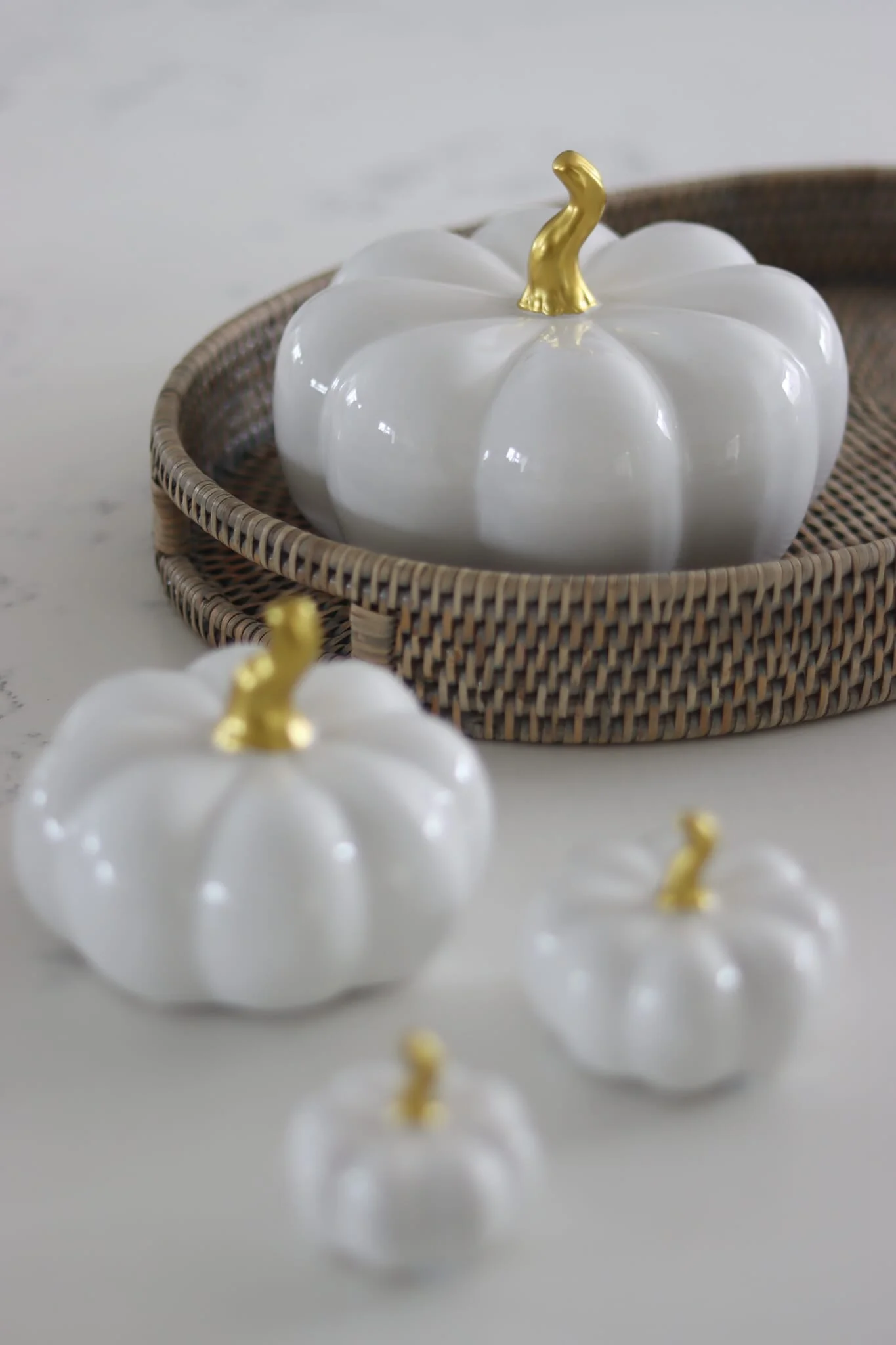 Ceramic Pumpkin Family - White/Gold