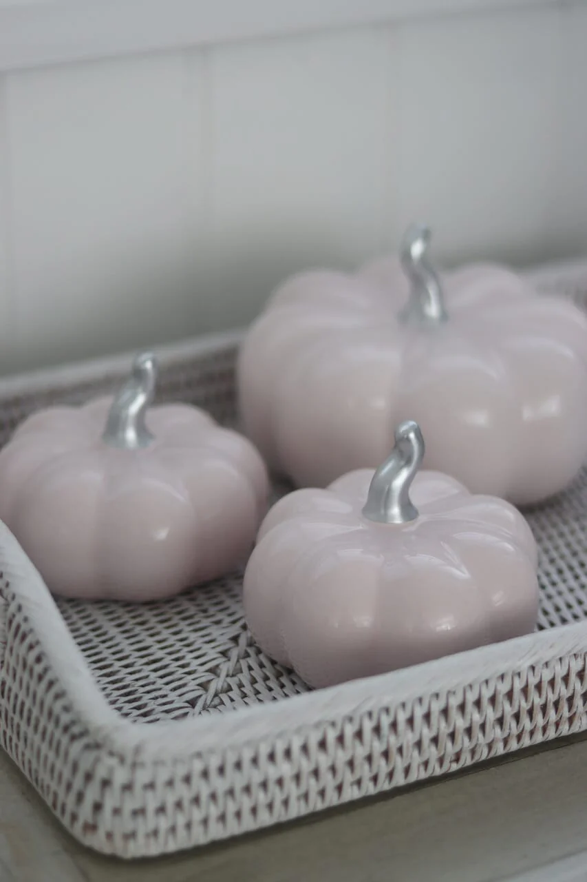 Ceramic Pumpkin Light Pink/Silver - Medium 2PC