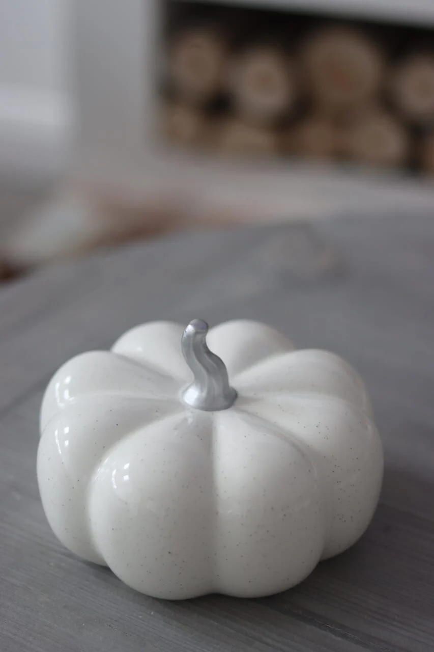 Ceramic Pumpkin Speckled- Large - Image 2