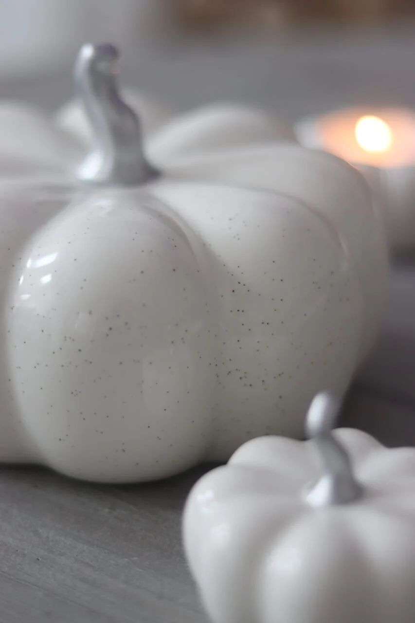 Ceramic Pumpkin Speckled- Large - Image 3
