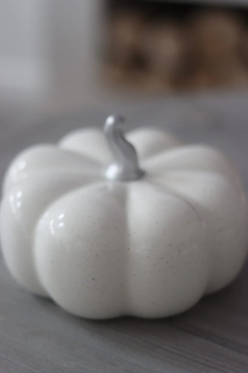 Ceramic Pumpkin Speckled- Large - Image 4