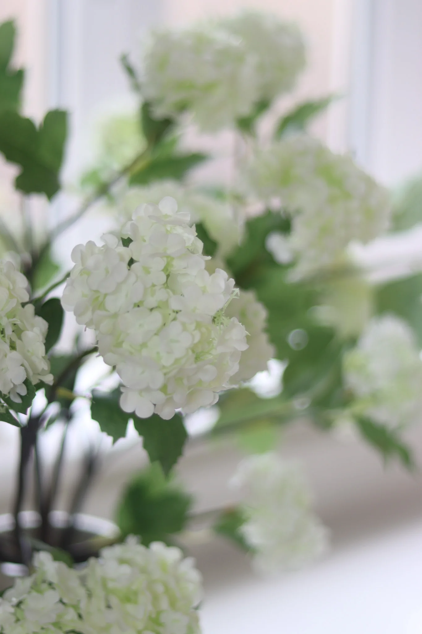 Faux Flowers - White Viburnum - Image 5