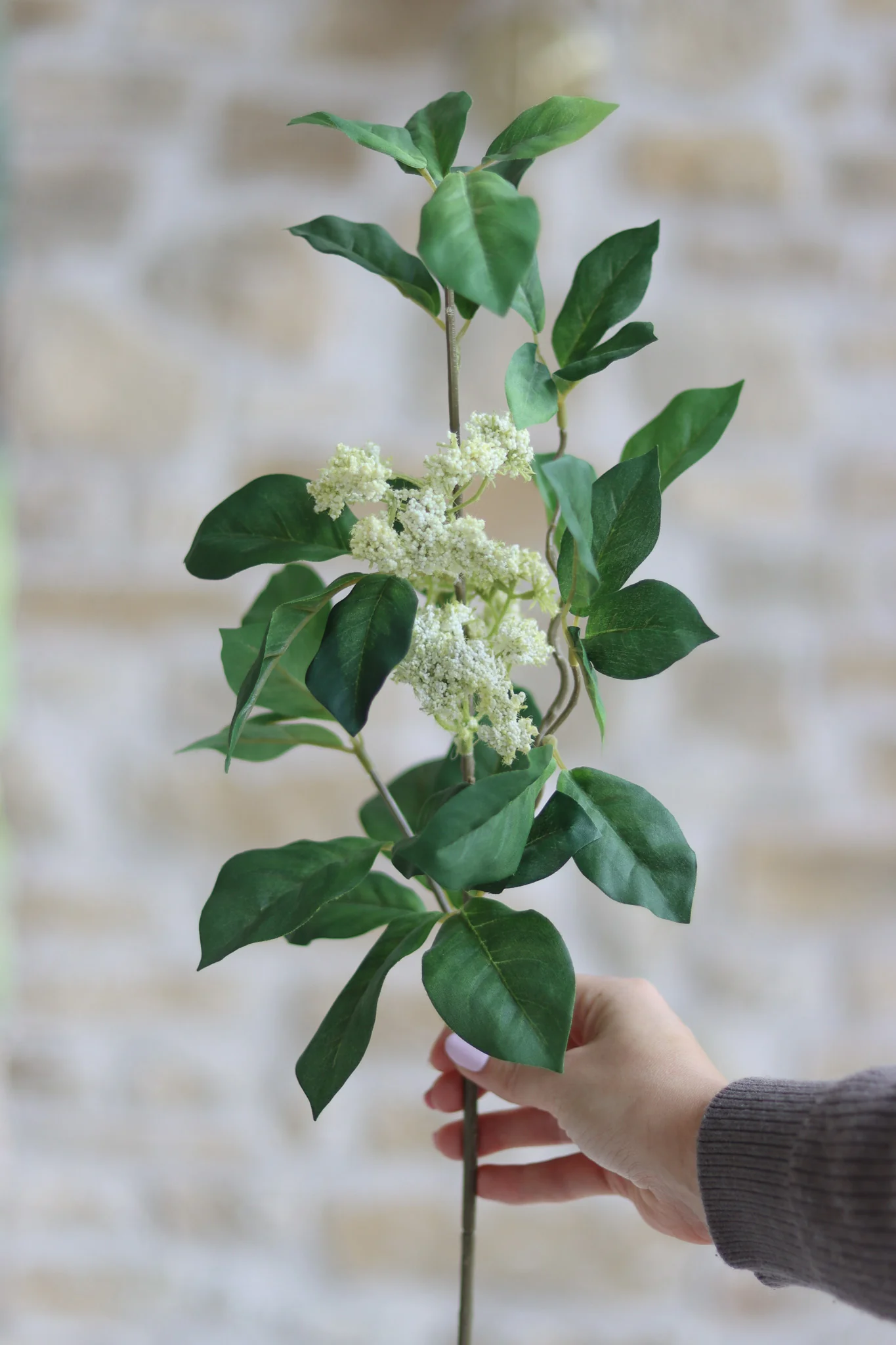 Faux Flowers – Queen Anne Lace Spray - Image 2