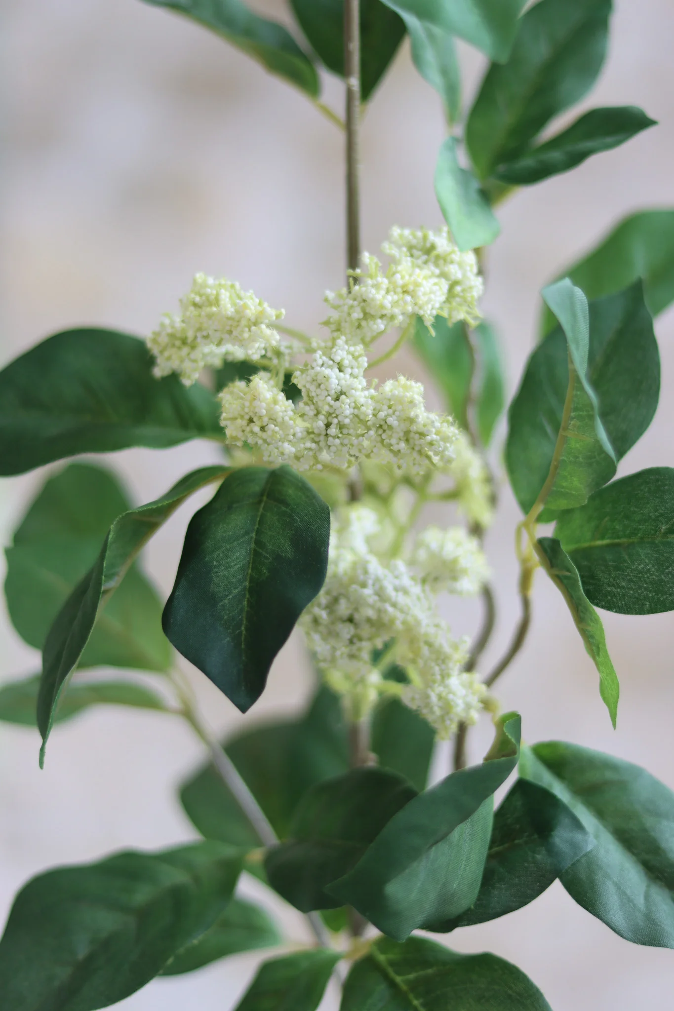 Faux Flowers – Queen Anne Lace Spray - Image 3