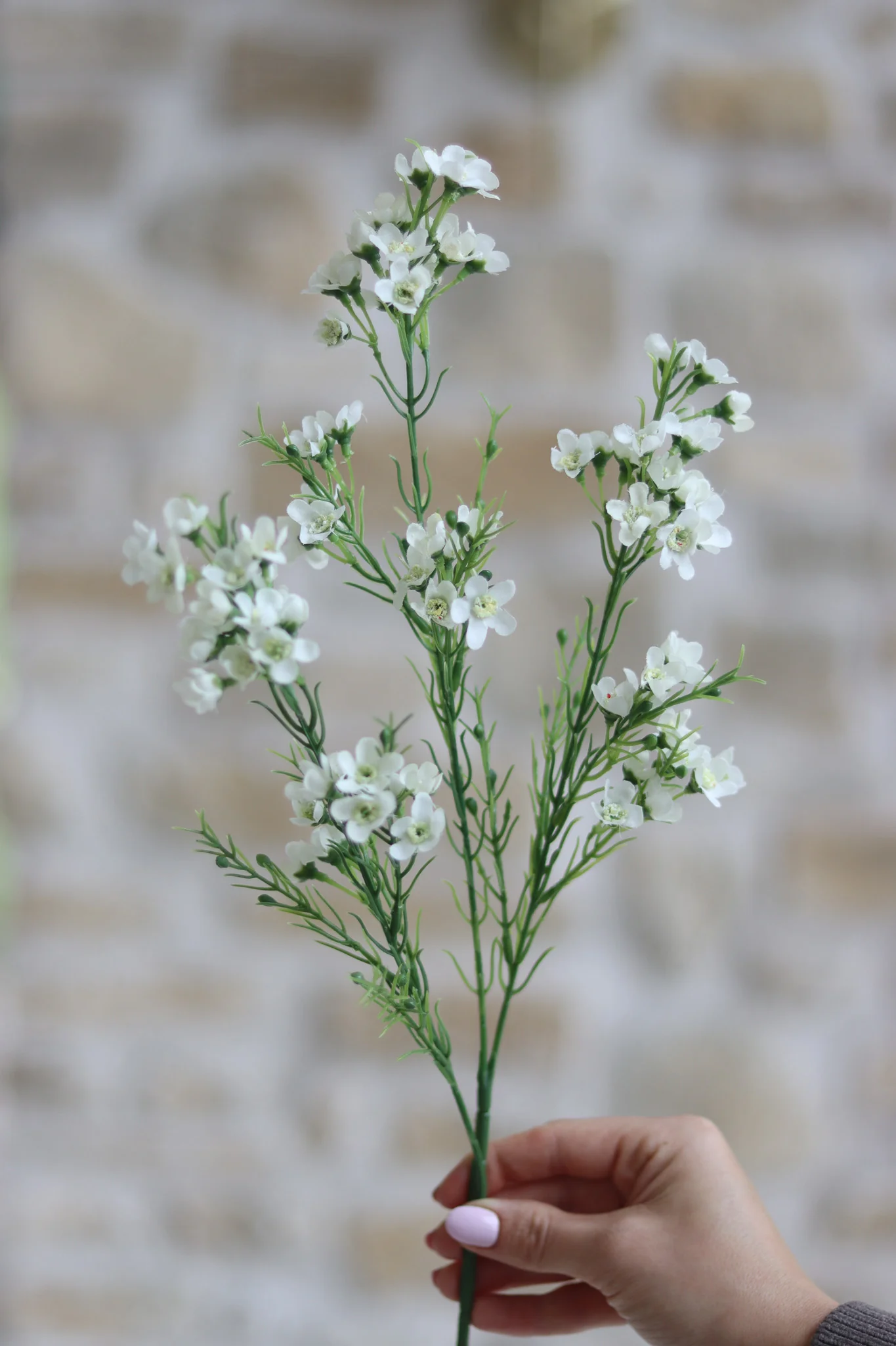 Faux Flowers - White Wintersweet Spray