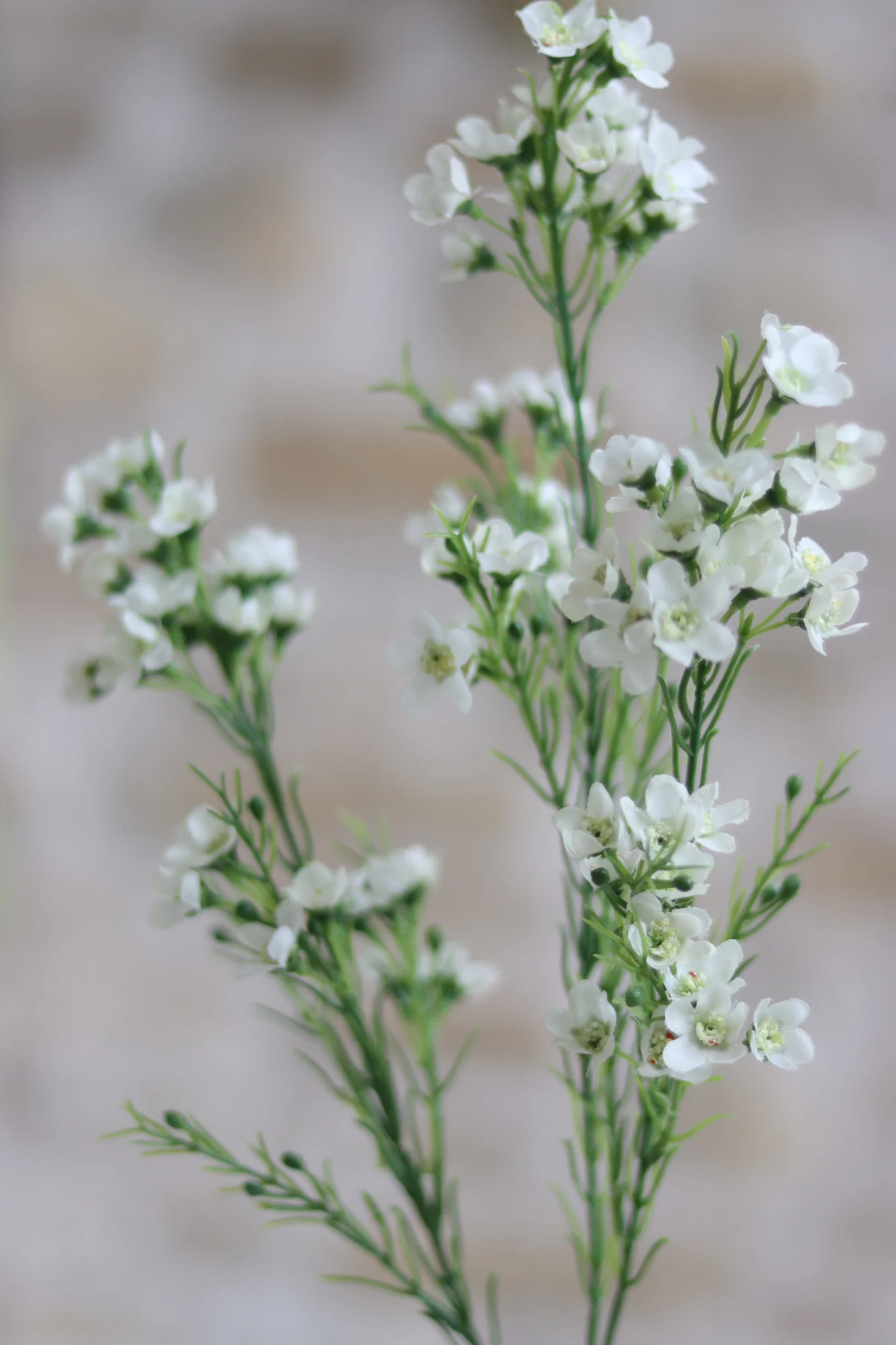 Faux Flowers - White Wintersweet Spray - Image 8