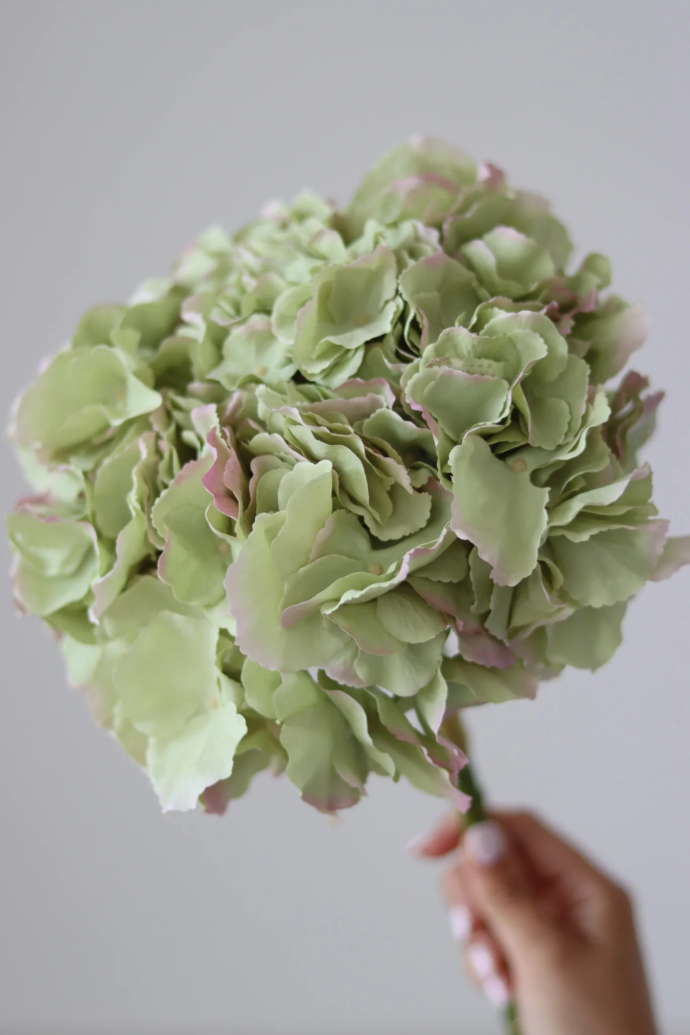 Faux Flowers - Green Hydrangea Stem - Image 4
