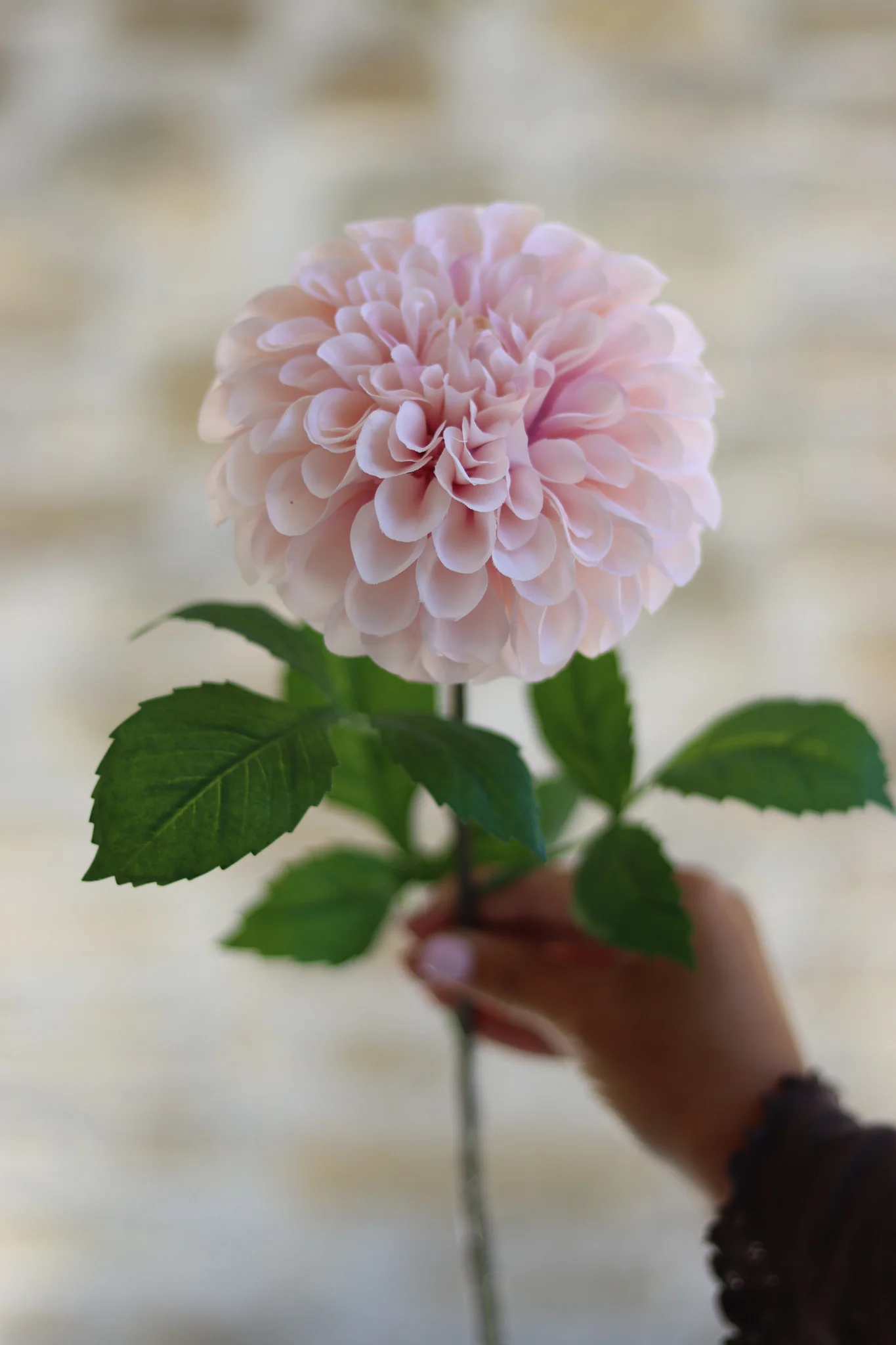 Faux Flowers - Pink Dahlia Stem - Image 3