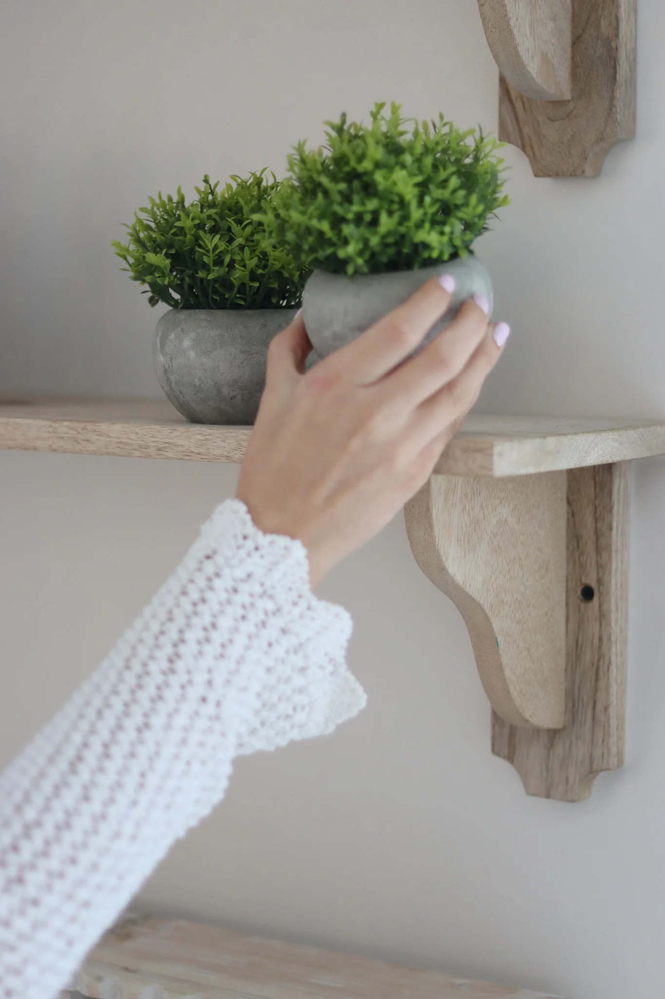 Faux Plant – Hebe 2pc Set - Image 2