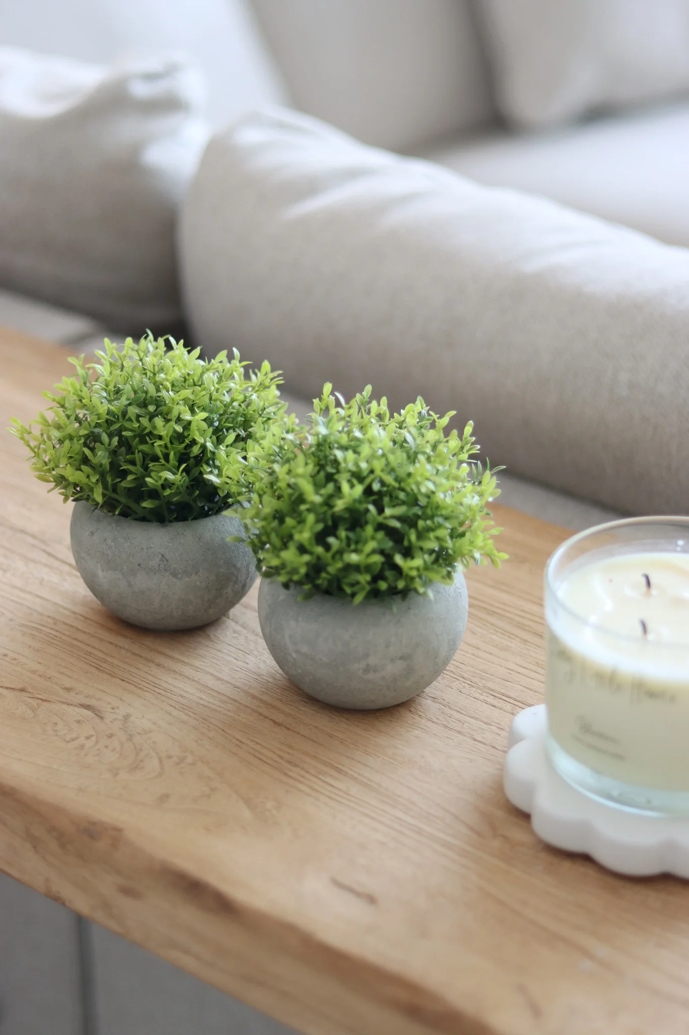 Faux Plant – Hebe 2pc Set - Image 3