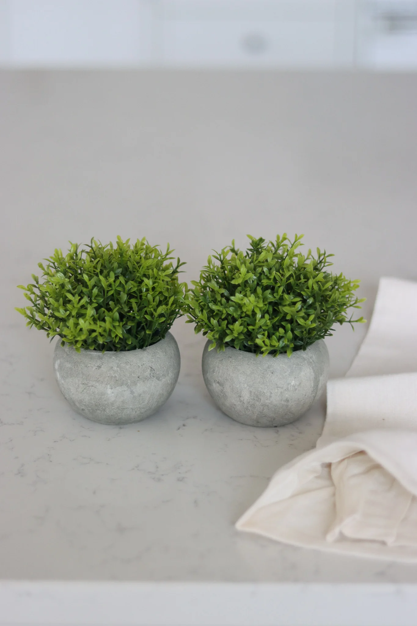 Faux Plant – Hebe 2pc Set - Image 4