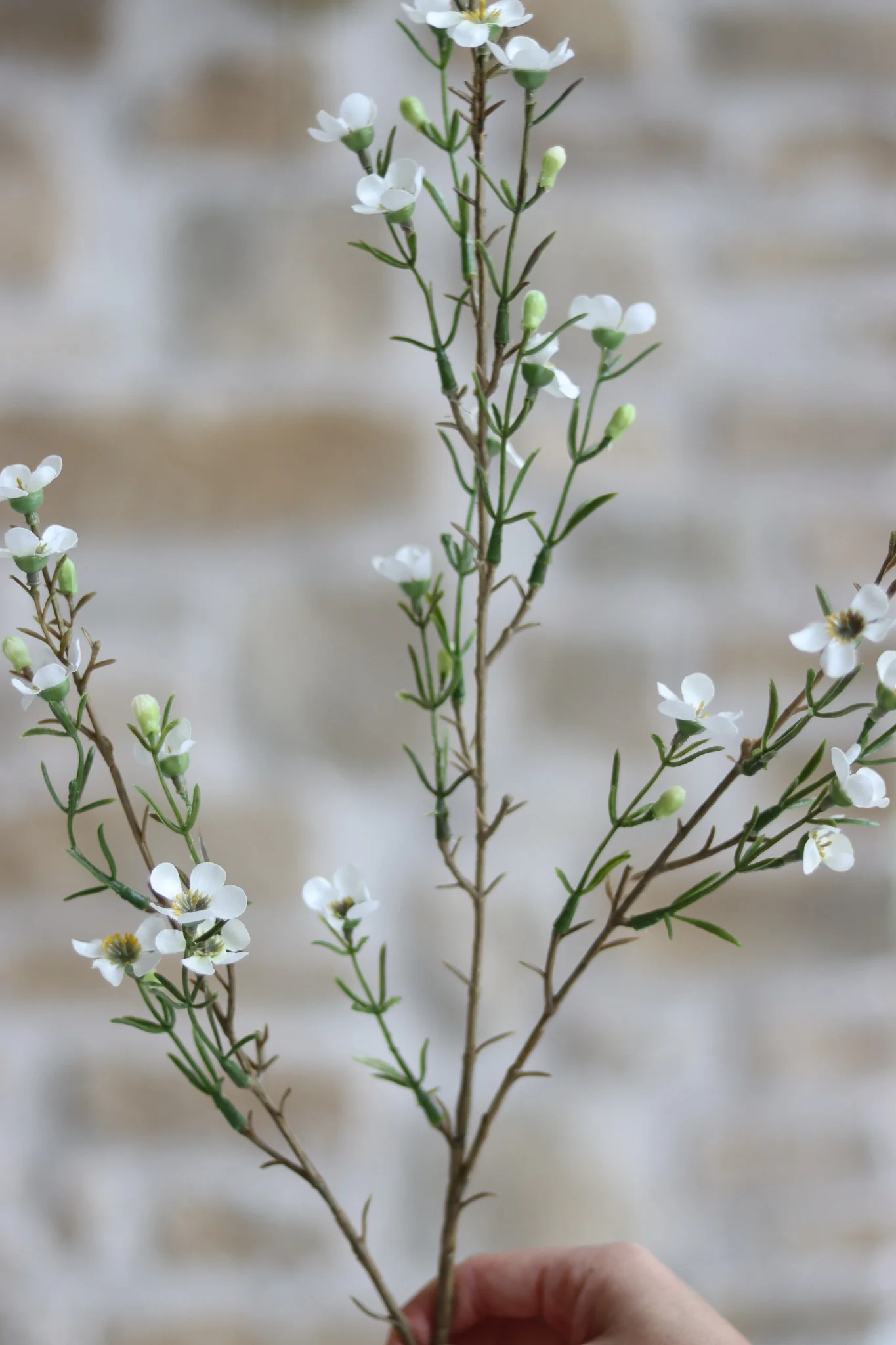 Faux Flowers - Waxflower - Image 4
