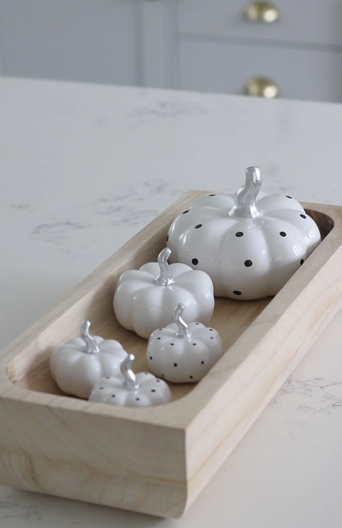 Pumpkin Tray Bundle