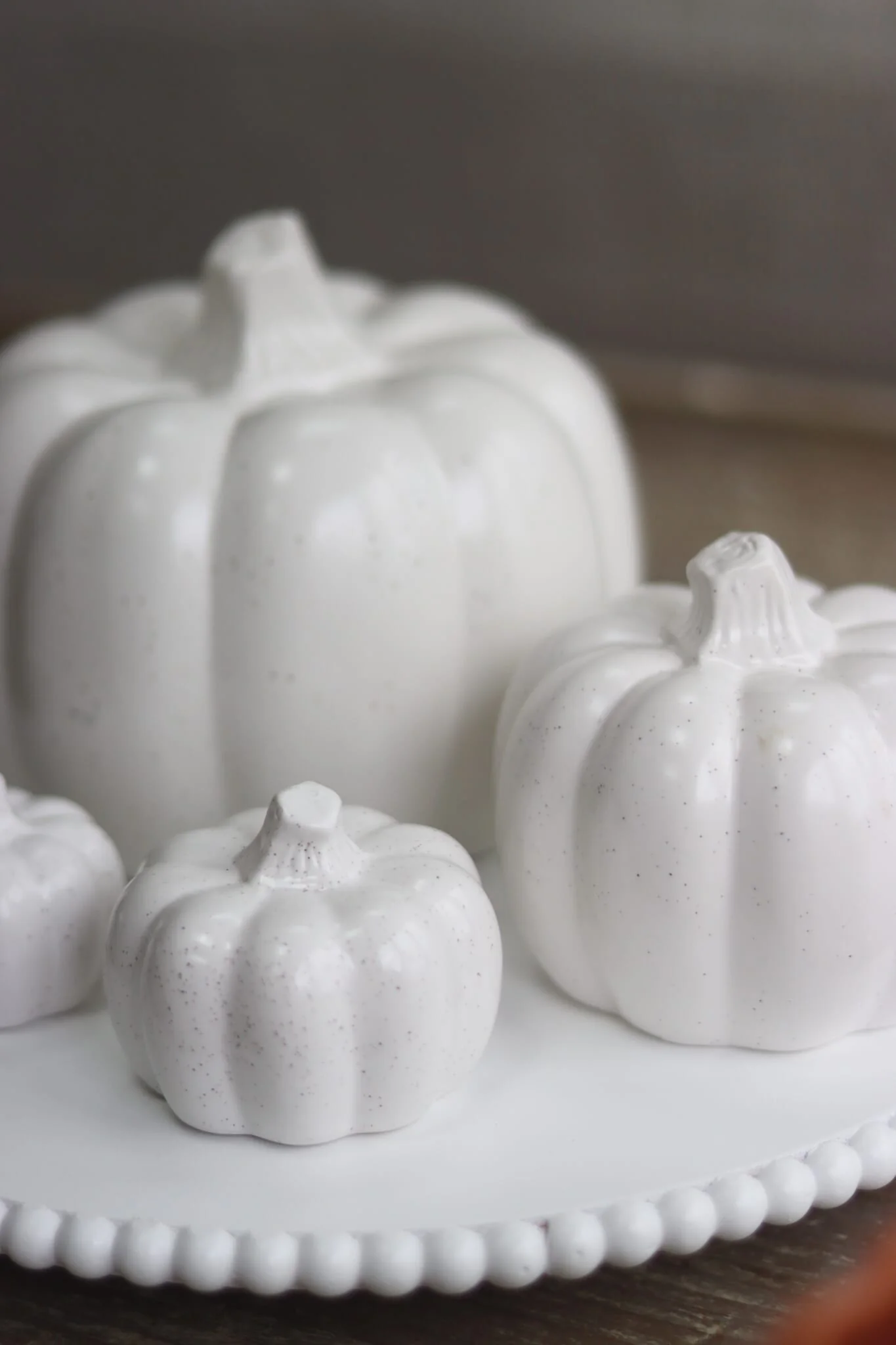 Round Pumpkin Family - Speckled - Image 2