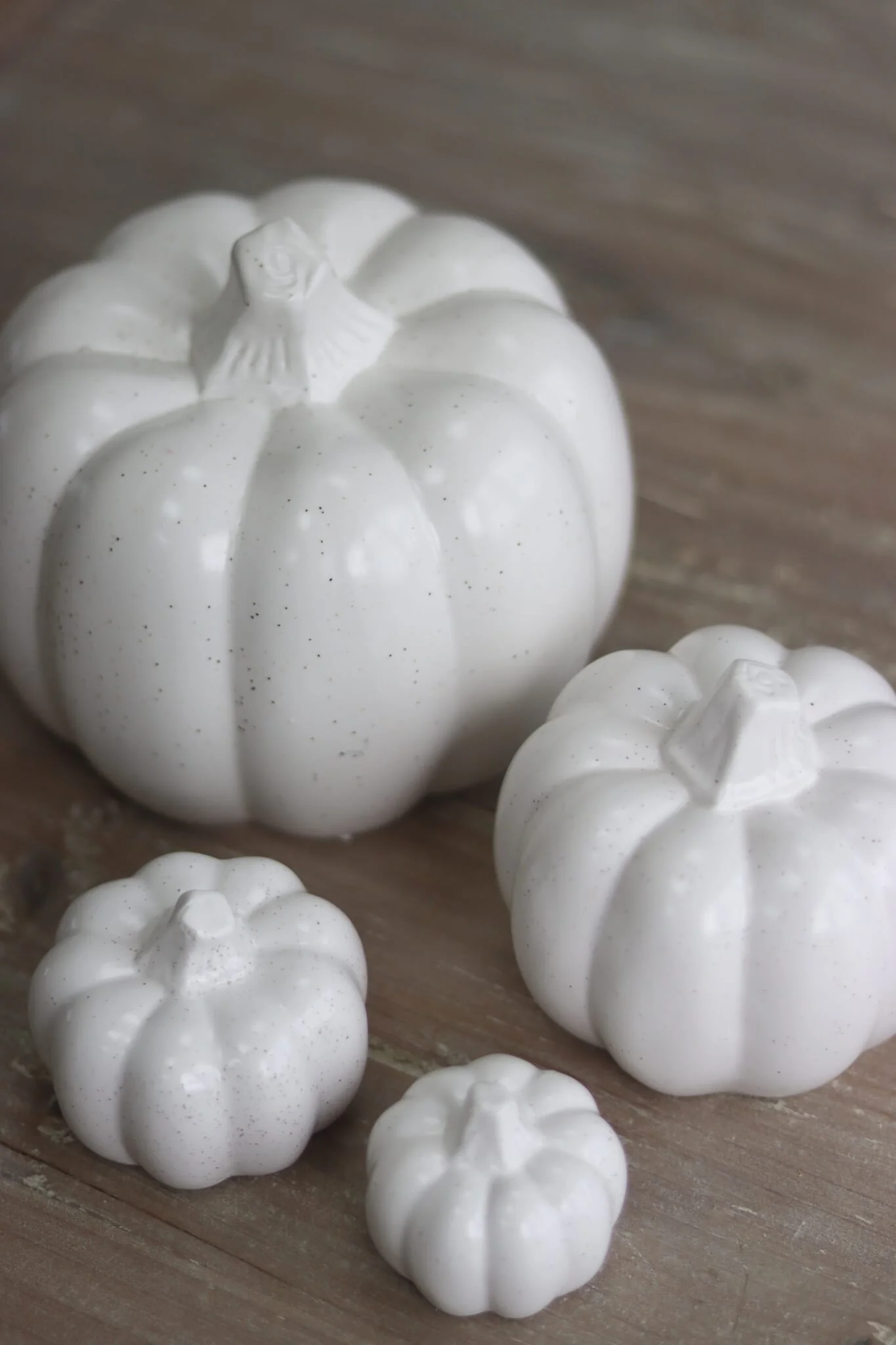 Round Pumpkin Family - Speckled - Image 3