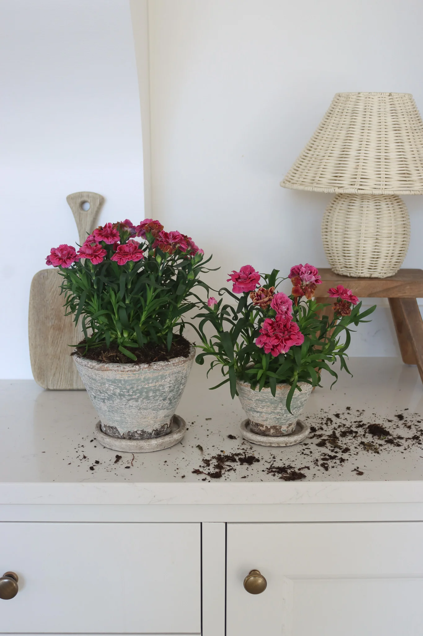 Aged Plant Pots | Set of 2