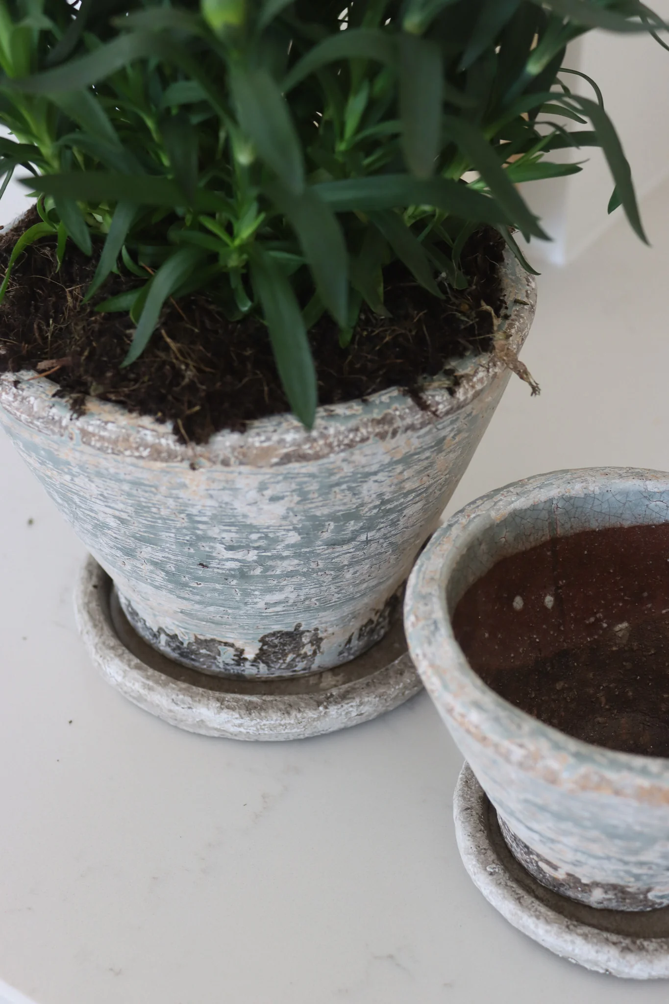 Aged Plant Pots | Set of 2 - Image 3
