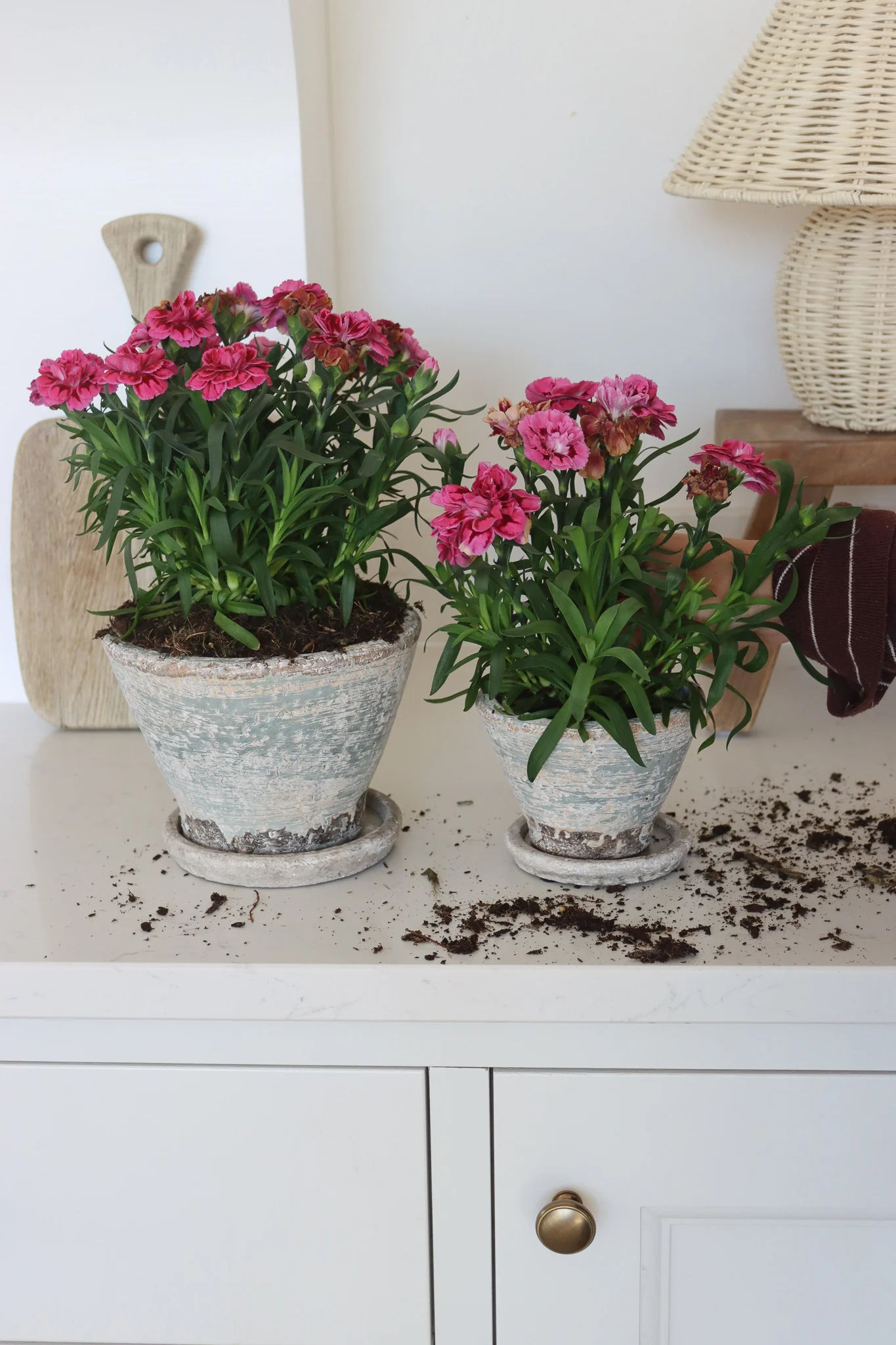 Aged Plant Pots | Set of 2 - Image 4