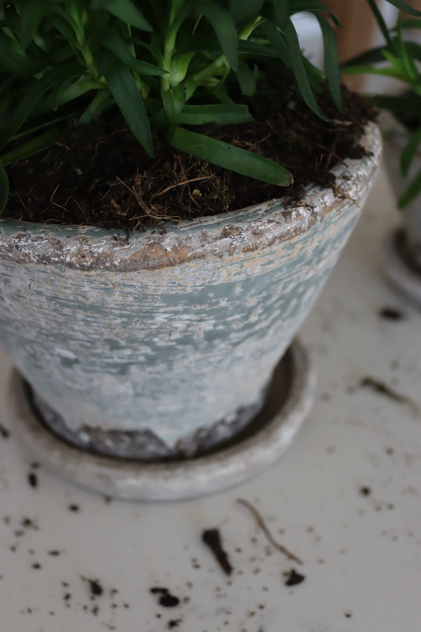 Aged Plant Pots | Set of 2 - Image 5