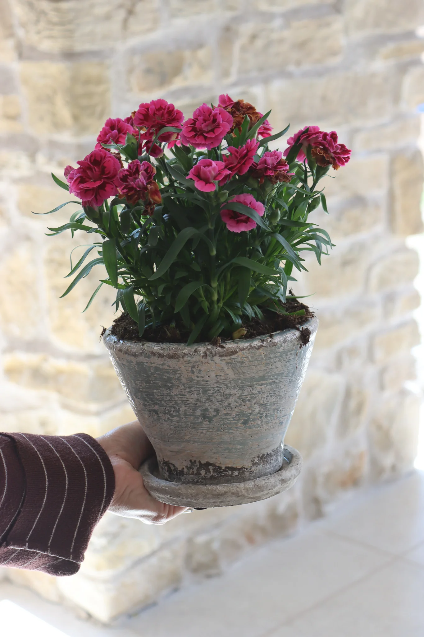 Aged Plant Pots | Set of 2 - Image 6