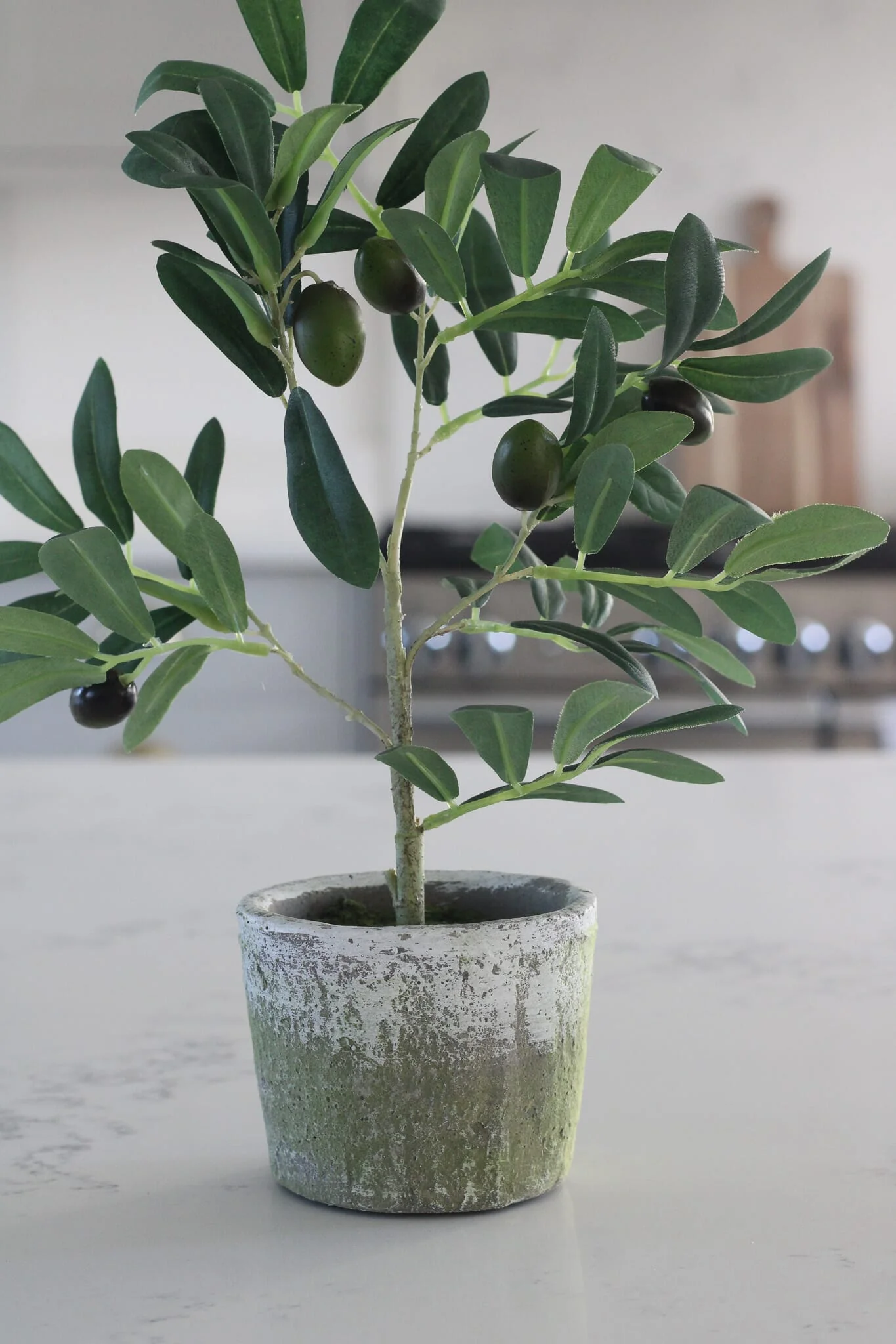 Faux Plants - Small Potted Olive Tree - Image 3