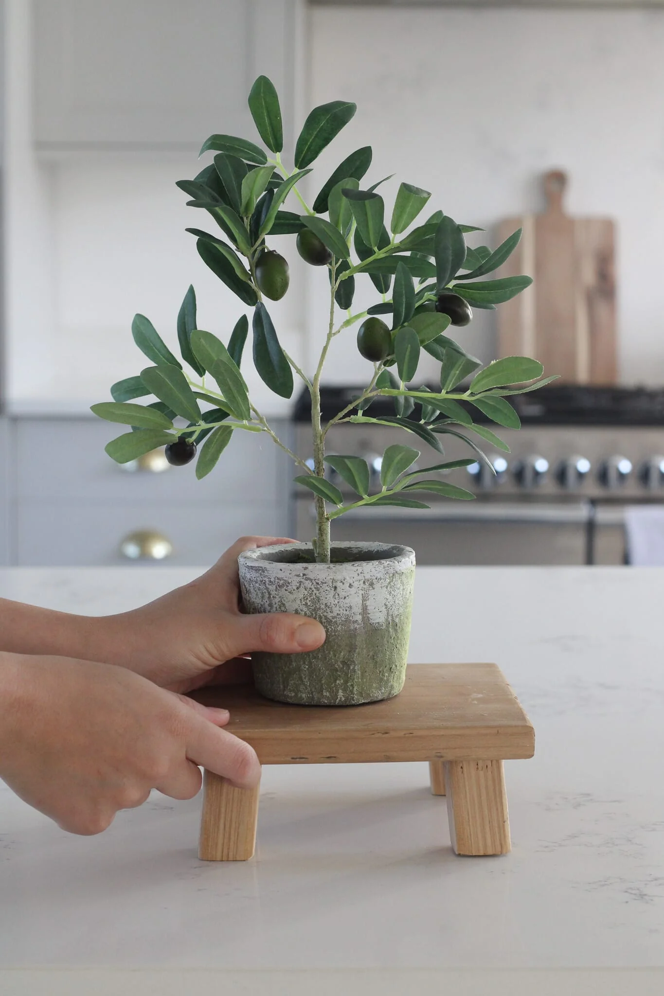 Faux Plants - Small Potted Olive Tree - Image 4