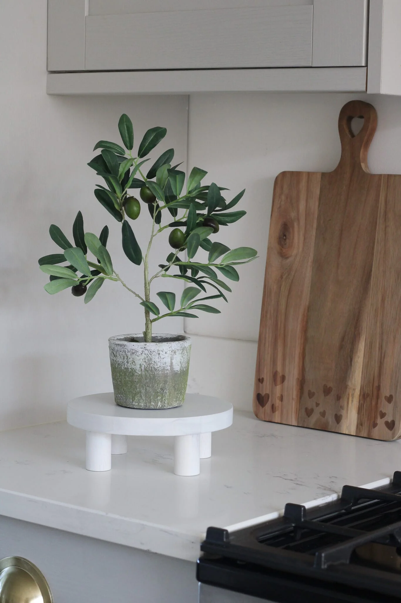 Faux Plants - Small Potted Olive Tree - Image 5