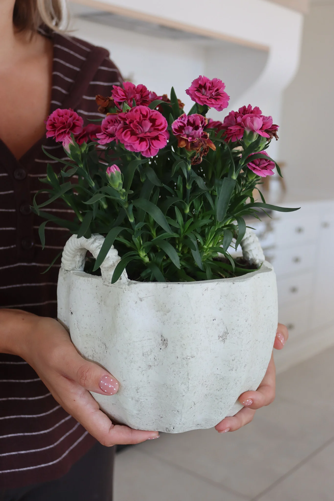 Stoneware Plant Pot