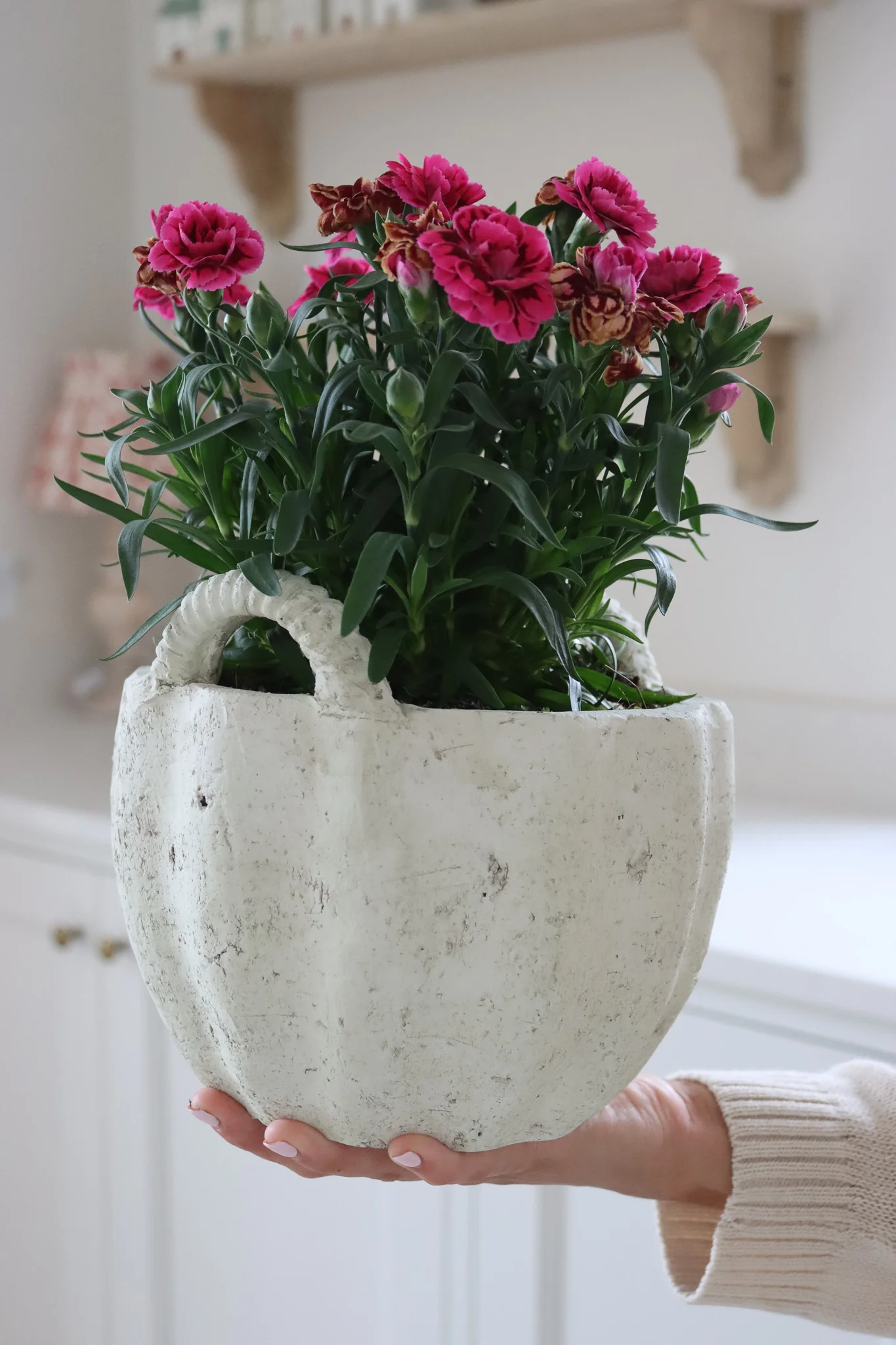 Stoneware Plant Pot - Image 3