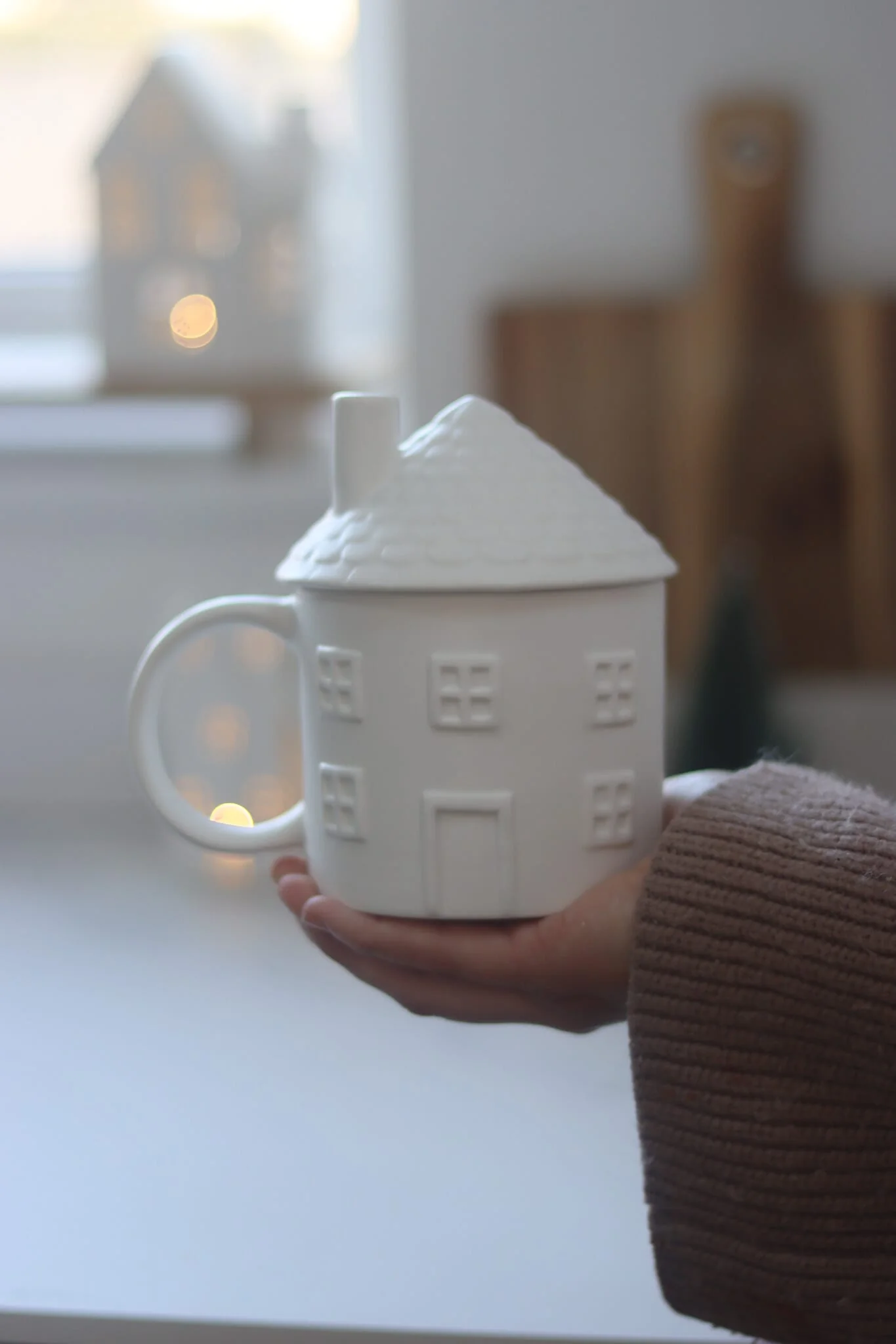 Winter House Mug
